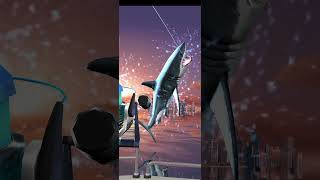 Arabian sea Boss Great White Shark fishing hook