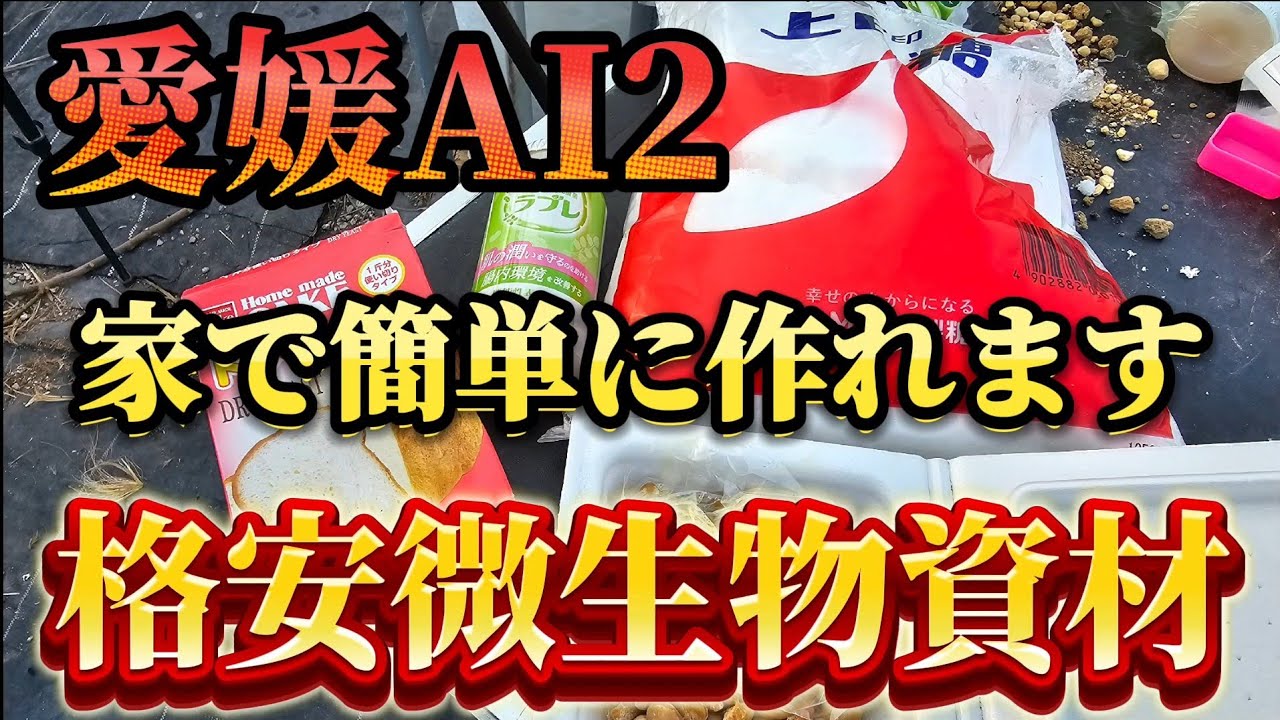 【愛媛AI2】200円で作れる微生物資材はコレだ！！土作りで入れたら微生物で土がふかふかになる。