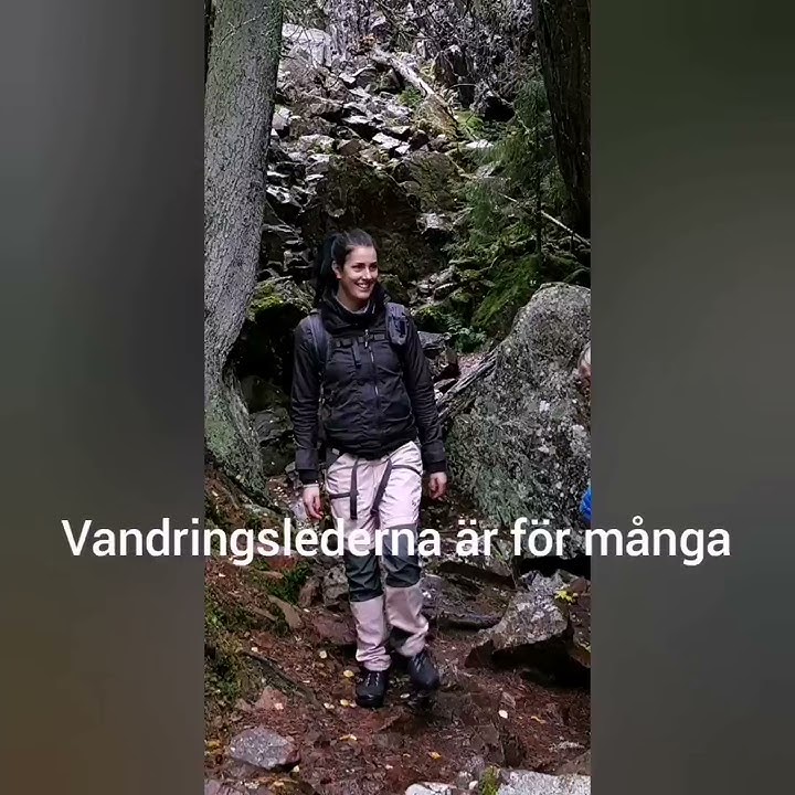 Vimmerby Camping: 8 anledningar att INTE besöka oss!