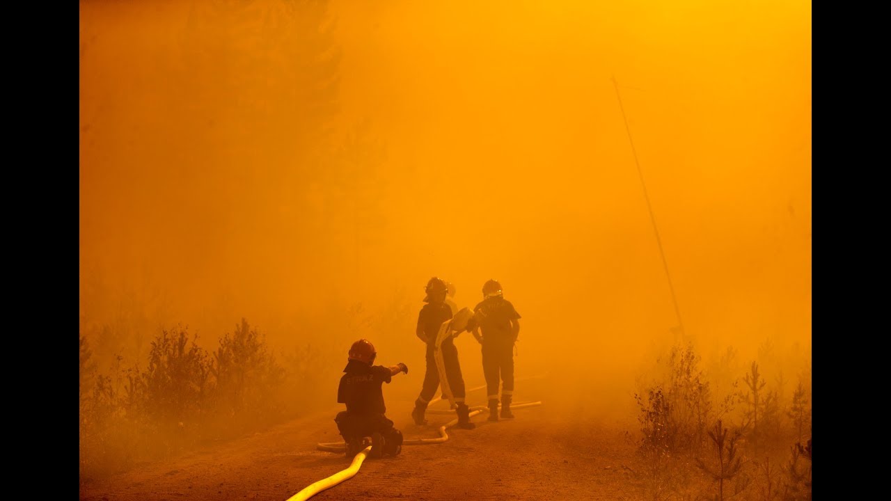 Så stärker MSB beredskapen för skogsbränder