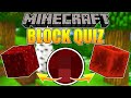 GUESS THAT BLOCK IN MINECRAFT!