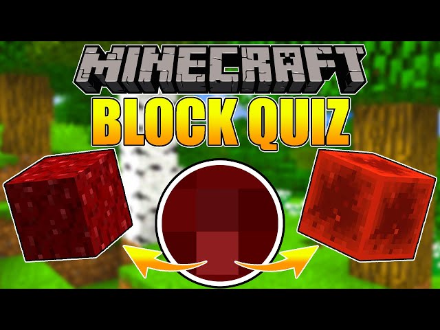 Find the Minecraft Block Quiz