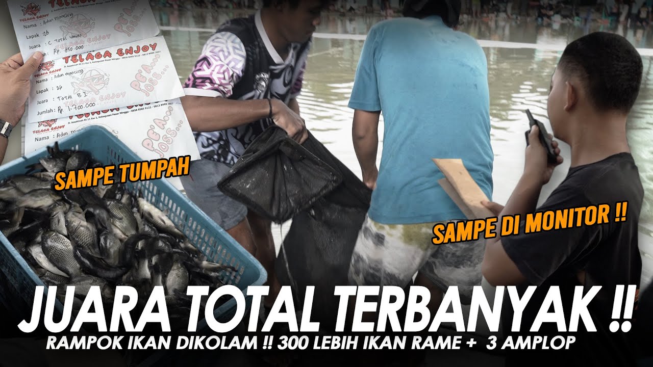 REKOR PERTAMA DI TAHUN 2026 !! JUARA TOTAL UMUM 324 EKOR + 2 BABON BORONG AMPLOP || Am#682