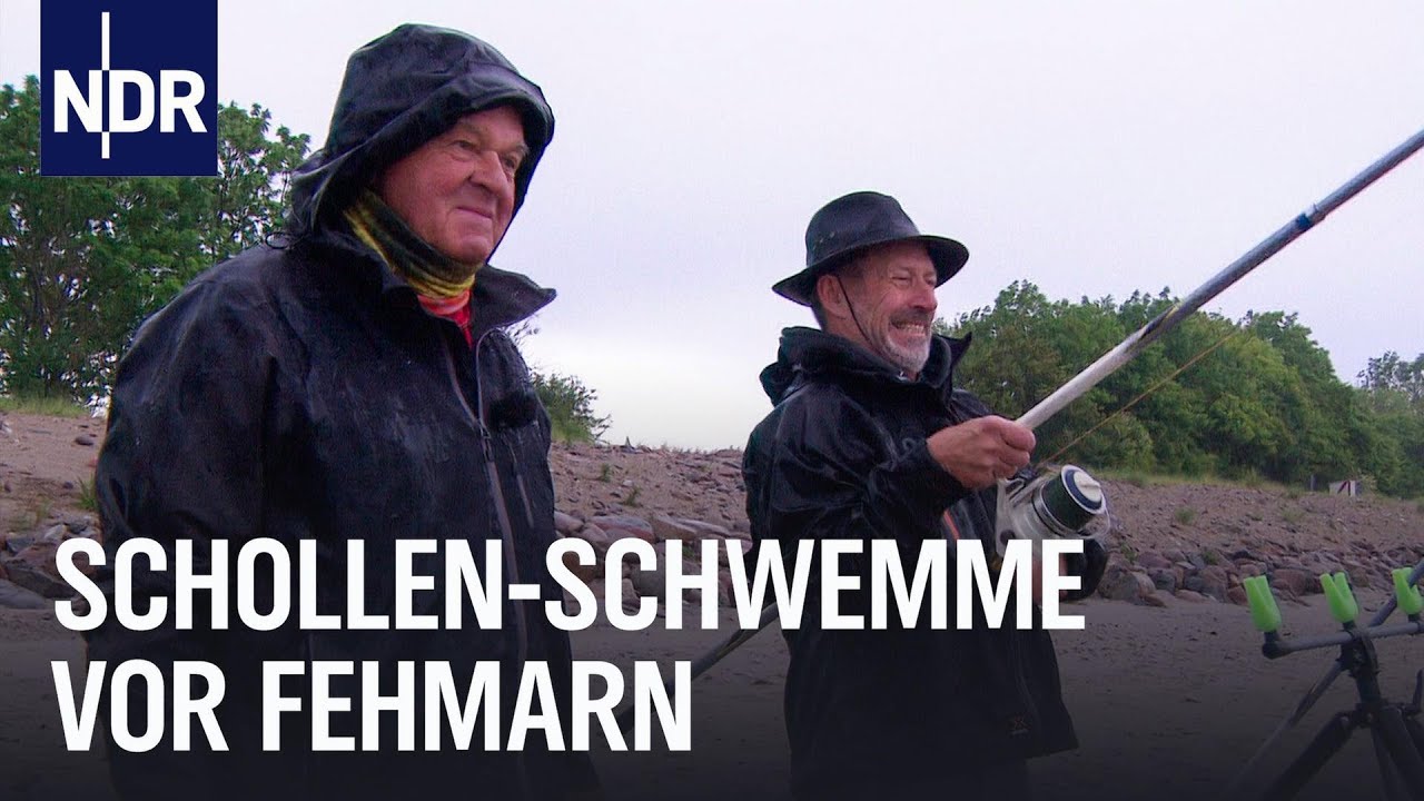 Mai-Scholle vom Kutter im Fehmarnsund | Rute raus, der Spaß beginnt! | NDR Doku