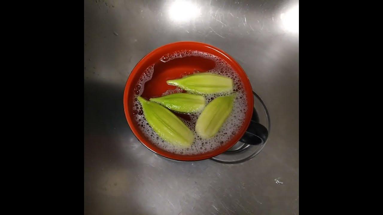 heavy-hitter-okra-harvest-1-youtube