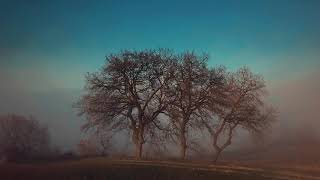 AUTUMN LEAVES - Eric Clapton
