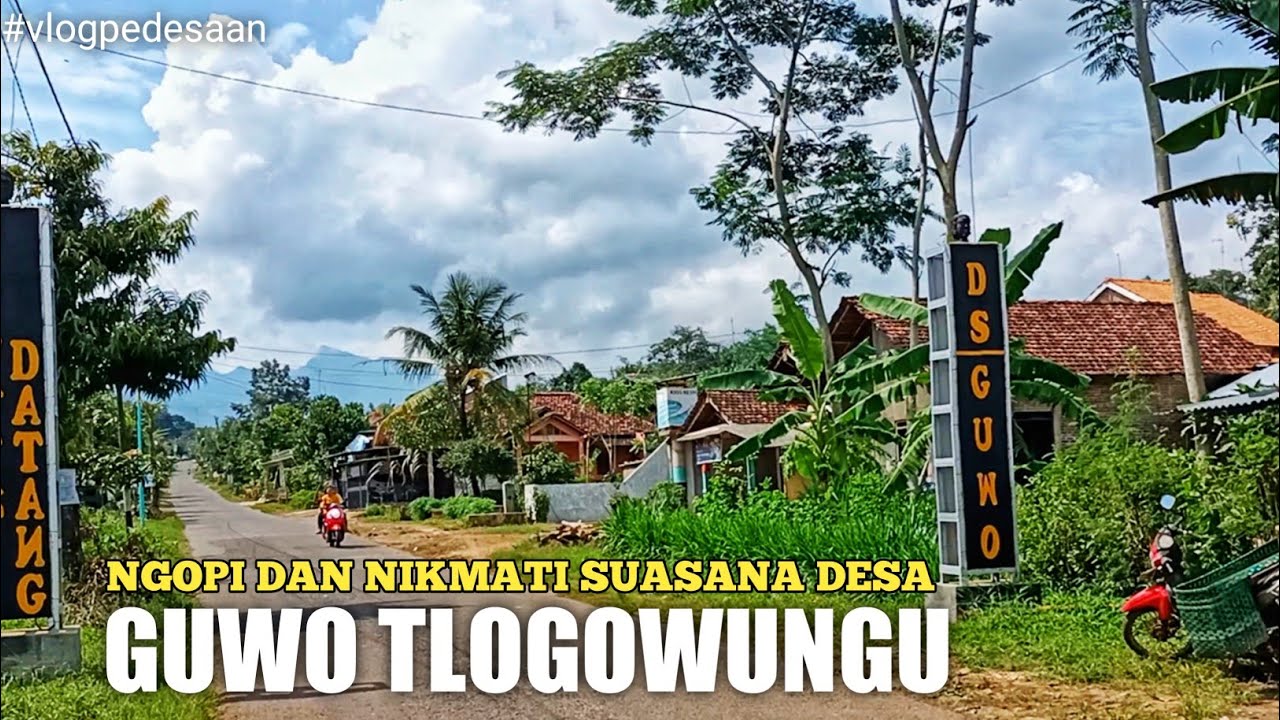 KULINERAN DAN NGOPI DI DESA GUWO TLOGOWUNGU PATI JAWA TENGAH