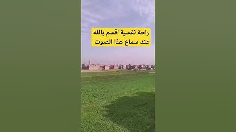 راحة نفسيه دقيقه من القران الكريم بصوت جميل #مصر #المصحف #المغرب #اكسبلور #راحة_نفسية #الجزاير