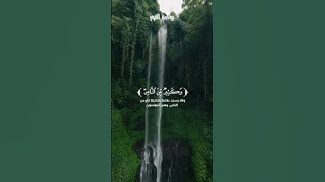تلاوة خاشعة لفضيلة القارئ فايح الحارثي #القرآن_الكريم #تلاوة_خاشعة #راحة_نفسية #quran #quranverses