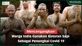 Mencengangkan! Warga India Gunakan Kotoran Sapi Sebagai Penangkal Covid-19