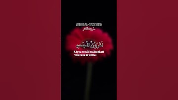 Wonderful Tlawat | Sura Al Takathur | Twafiq-As-Sayegh | سورة التكاثر