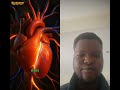 Science of the Sting: Raw Onion Digestion Explained in 3D