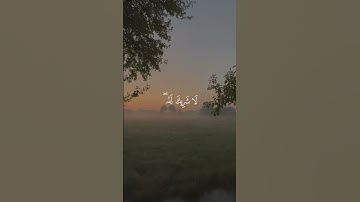 سورة الأنعام | ١٦٢ - ١٦٣ | بصوت القارئ الشيخ #ماهرالمعيقلي #قران #القران_الكريم #المصحف