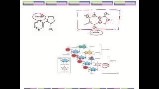 DK024 Study Guide 1.1 & 1.2 part 1