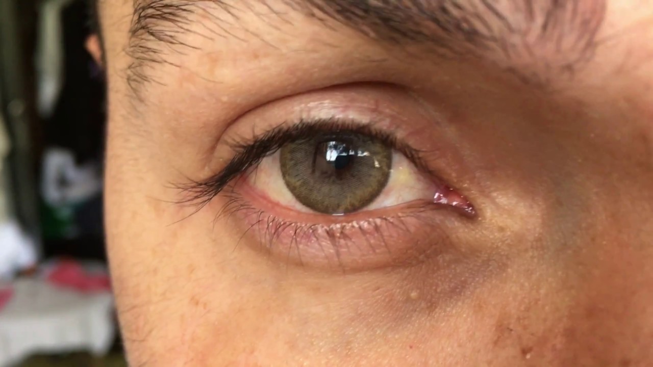 Siesta black Romance Brown "luz natural"