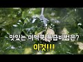 국요리[쇠고기미역국]이것으로 육수를 내어 미역국을 끓이면 그렇게 맛있답니다~소고기미역국!