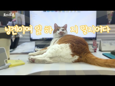 [장난감 나라의 트론이] EP. <strong>440</strong> 일하지 마라 닝겐