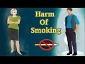 Understanding the Harmful Effects of Smoking