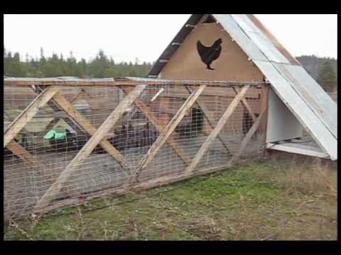 Monster Chicken Tractor - YouTube