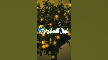 سورة الماعون#اكسبلور #المصحف #القزابري #حالات_واتس #الرحمن #ترند #duet #logo #الطحان #دحمان