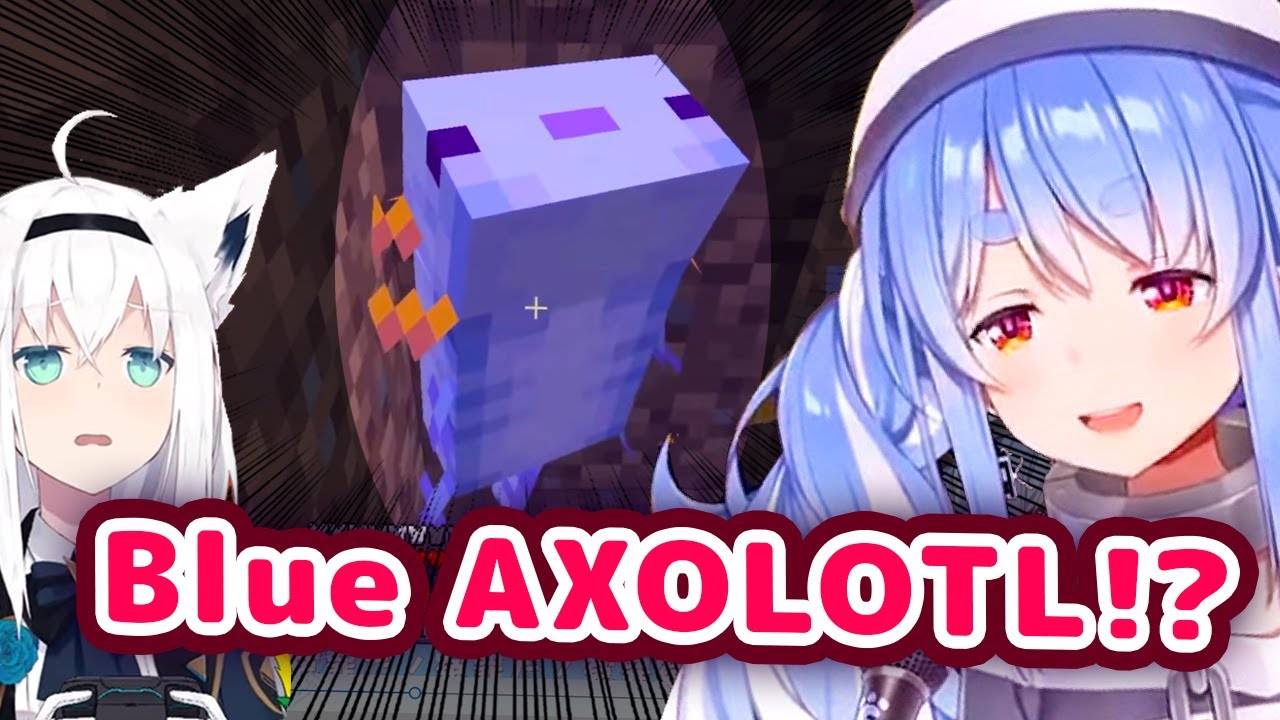 Pekora Wants To Snatch Fubuki's Blue Axolotl After Seeing It For The First Time【ENG Sub/Hololive】