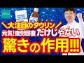 【あのタウリンが?!】医師解説｜知らないと損｜疲労回復だけじゃない驚き作用！