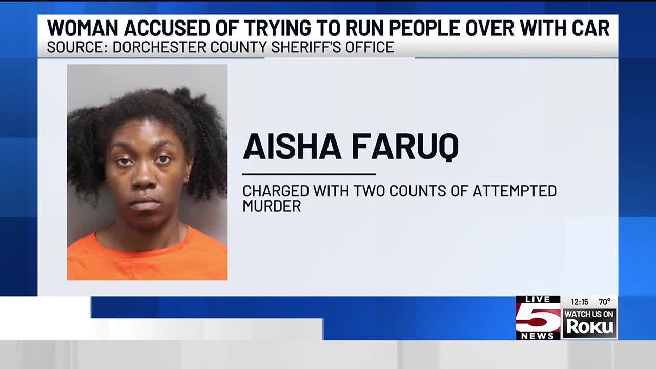 VIDEO: Ladson woman accused of trying to run people over with car - YouTube
