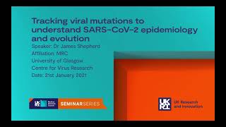 Tracking viral mutations to understand SARS-CoV-2 epidemiology and evolution