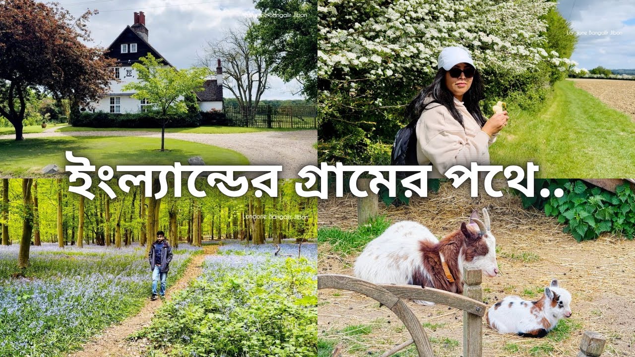 Я прогулялся по сельской местности Англии... что я увидел по дороге | Поход по английской сельско...