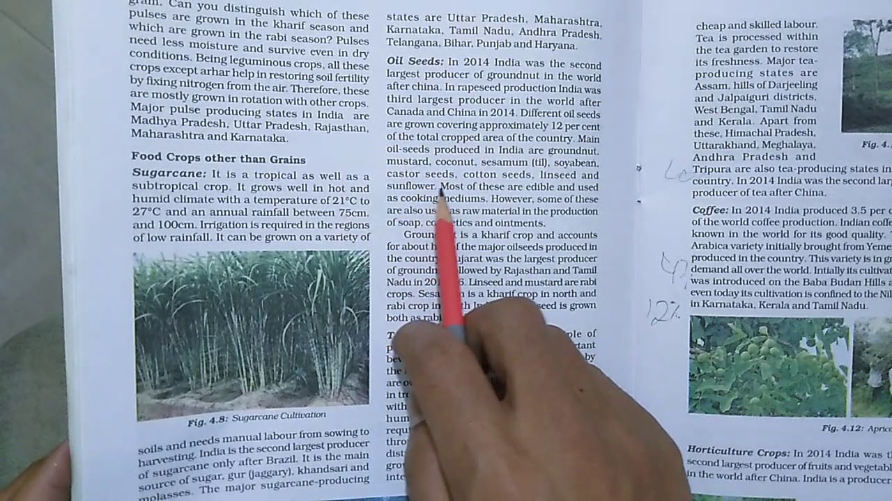 Class-10 Geography Chapter-4 Topic- Food Crops other than Grains