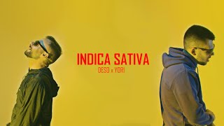 Video thumbnail of "DESO x YORI - INDICA SATIVA (OFFICIAL 4K VIDEO)"