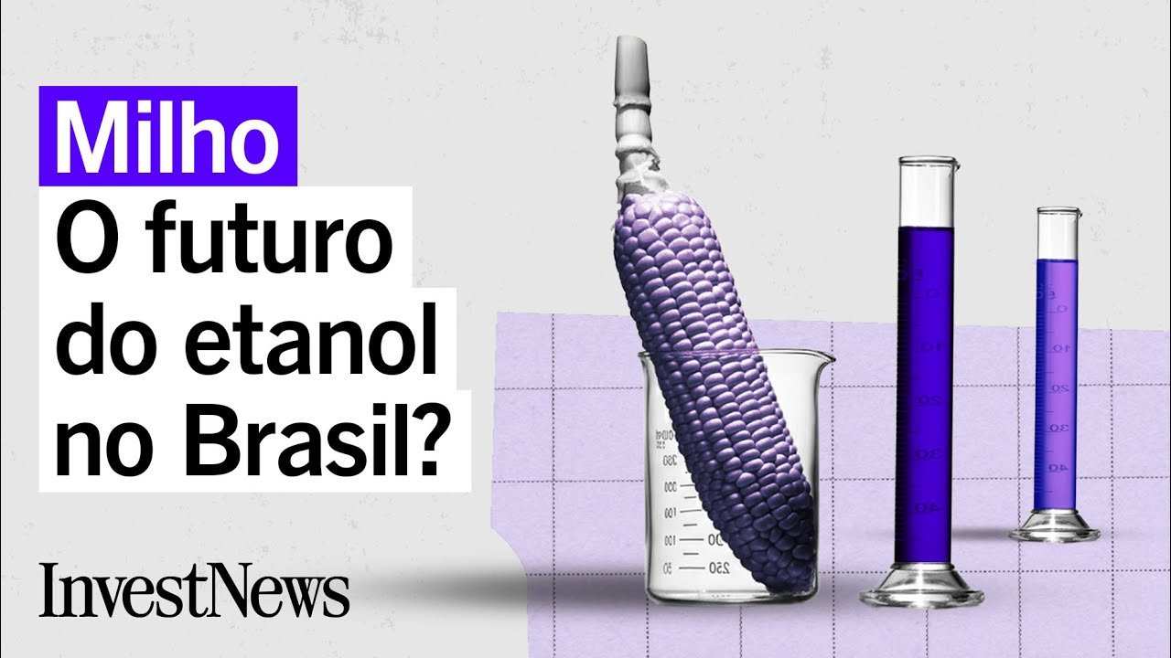 Milho já é a base de 20% do etanol brasileiro e pode ser o futuro do combustível no país