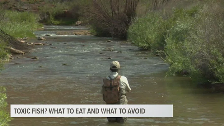 Kalamazoo River Alliance, Michigan DNR warn some caught fish not safe to eat