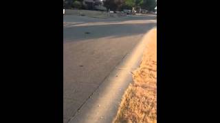 Best rc driver in the world