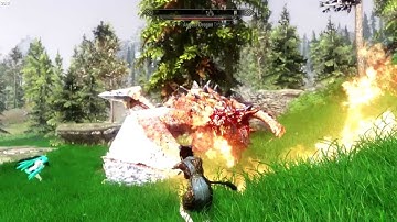 Skyrim Flora Overhaul + SFO Expanded Diversity + Logical Grass R9 290x