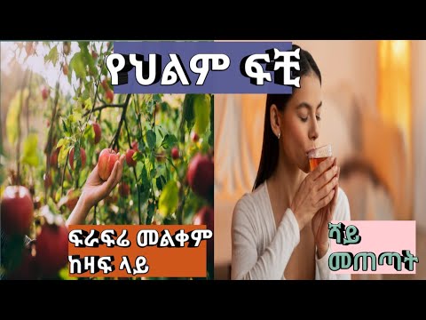 ቪዲዮ: አፕል መልቀም በኒው ኢንግላንድ - የእራስዎን ፖም ይምረጡ