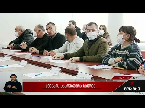 სენაკის საკრებულოს სხდომა