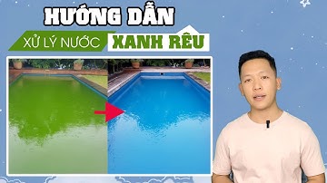 Xử lý nước bể bơi bị xanh rêu