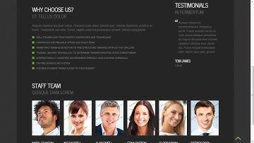 Pest Control Responsive Website Template