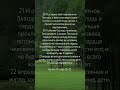 Библия, Бытие 8:20-22 #bible #god #jesus #amin #love