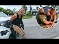 Toxic Girlfriend Caught Beating Boyfriend On Camera, Plays The Victim