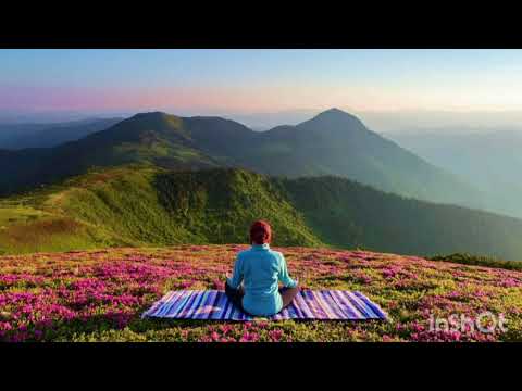 SPACEOUTERS Fireflies Speed Up 