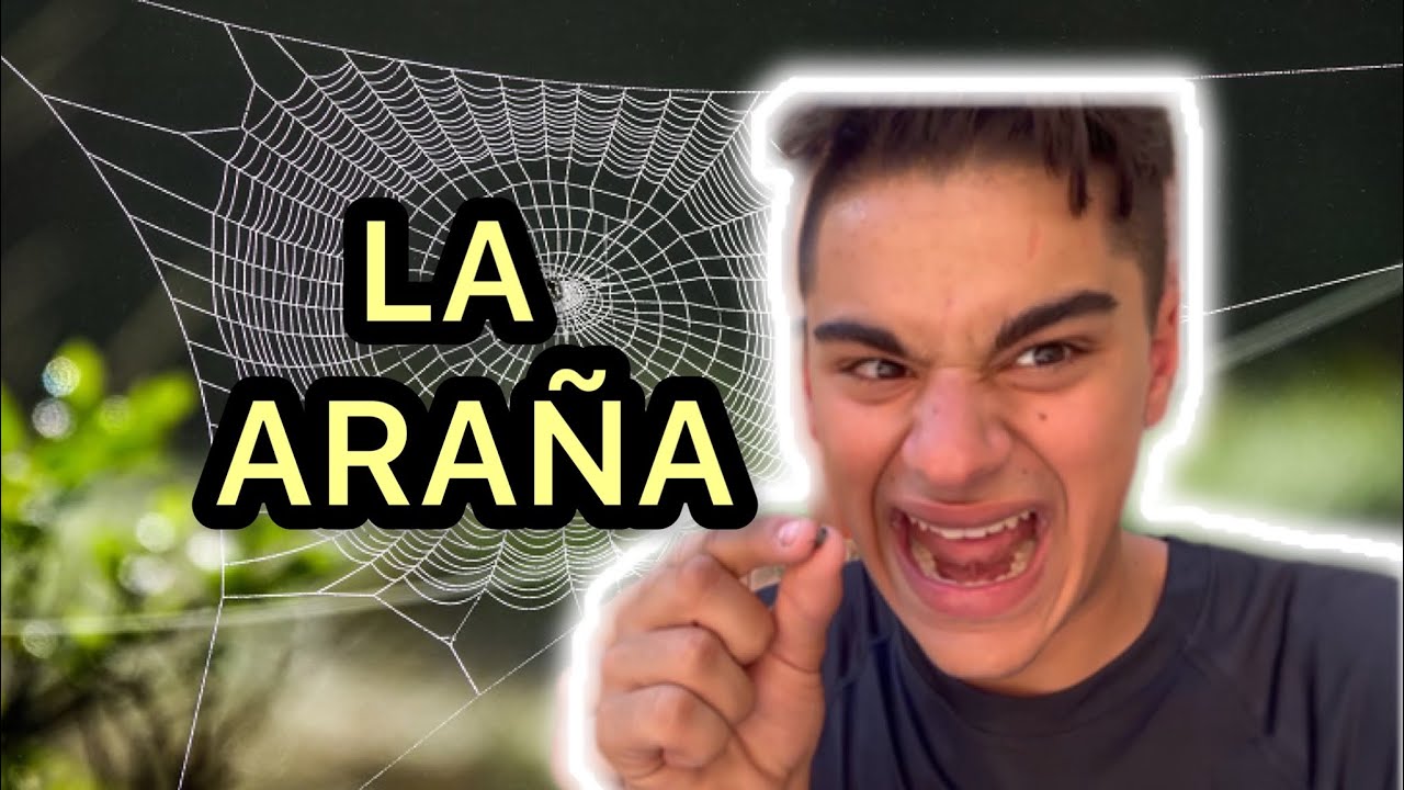 ¿HAY ARAÑAS EN LA PILETA?
