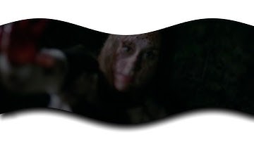 sony vegas pro - flag effect w/o newbluefx | YUUNKKI