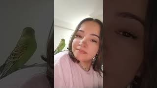 Ne Güzel Yaratmış Seni Yaradan Çimenim