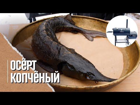 ОСЕТРИНА копченая в смокере, самая вкусная красная рыба