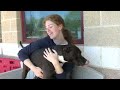 Animal shelters across the country face overcrowding and pet returns