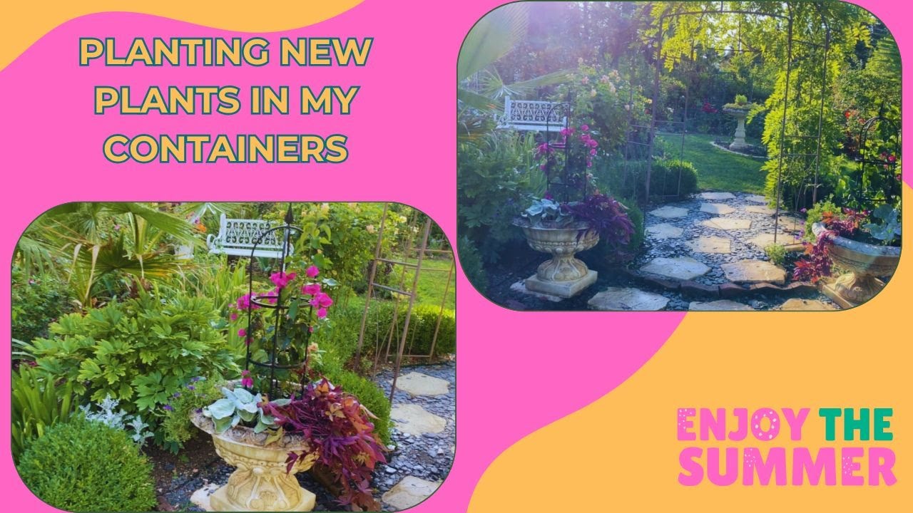 Container Glow-Up/Planting Gorgeous New Flowers in Pots You’ll Love