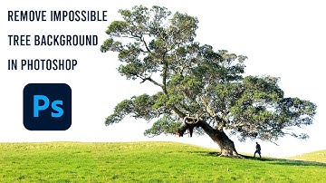 Remove Impossible trees background in Photoshop 2022
