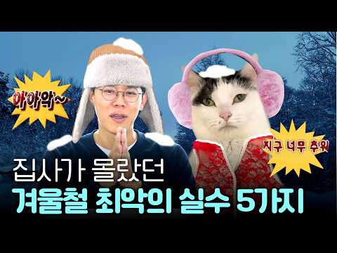 Winter mistakes cat owners often make 🥶🙀 (+indoor temperature tips for winter)
